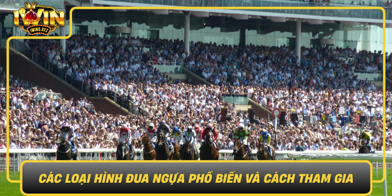 Cac Loai Hinh Dua Ngua Pho Bien Va Cach Tham Gia Hop Ly