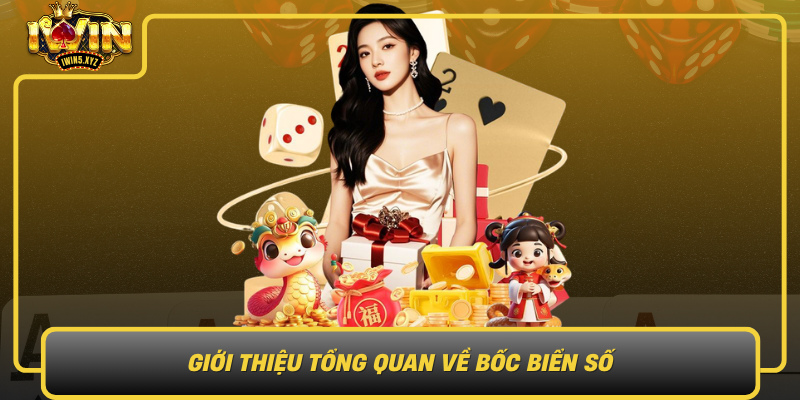 Gioi Thieu Tong Quan Ve Boc Bien So