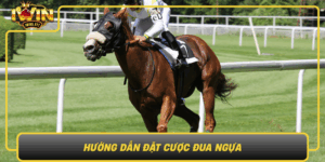Huong Dan Dat Cuoc Dua Ngua Chien Thuat Hieu Qua Tai Iwin