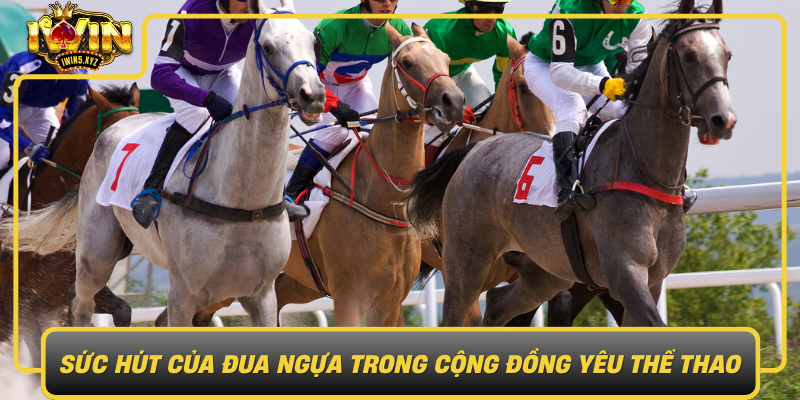 Suc Hut Cua Dua Ngua Trong Cong Dong Yeu The Thao