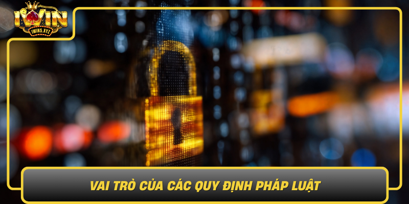 Vai Tro Cua Cac Quy Dinh Phap Luat Trong Viec Bao Ve Quyen Rieng Tu0