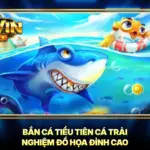 Bắn Cá Tiểu Tiên Cá Trải Nghiệm Đồ Họa Đỉnh Cao 5 Bắn Cá Tiểu Tiên Cá Trải Nghiệm Đồ Họa Đỉnh Cao